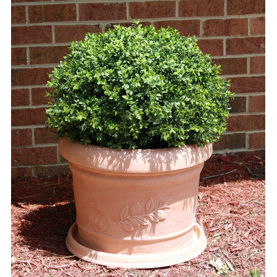 CompassCo Danielle Round Planter