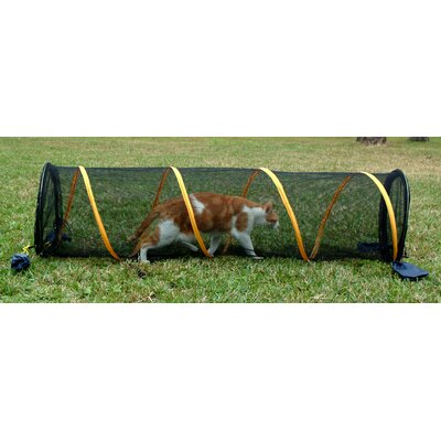 abo gear cat tent and tunnel