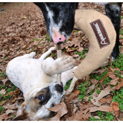 ABO Gear Boomering Dog Toy