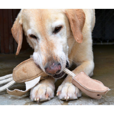ABO Gear Jute Pheasant Dog Toy