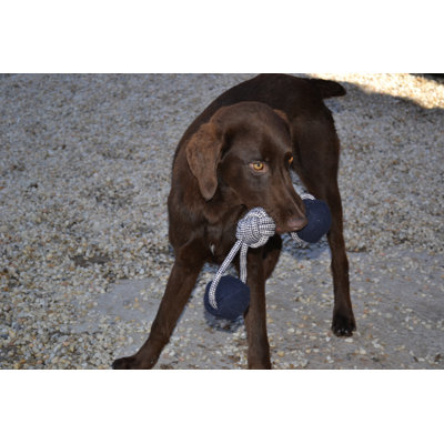 ABO Gear Ball with Handle Dog Toy