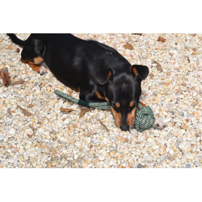 ABO Gear Ball with Handle Dog Toy