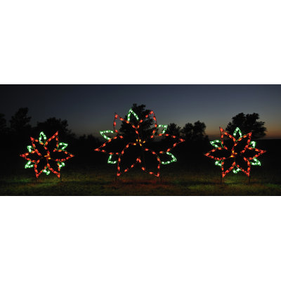 Holiday Lighting Specialists Large Poinsettia Light