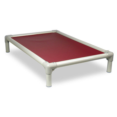 Kuranda USA Standard Elevated Chew-Proof Dog Bed in Almond