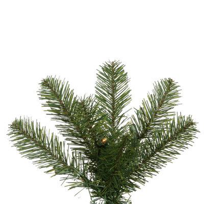 Vickerman Co. Salem Pencil Pine 7.5' Artificial Christmas Tree with Clear Lights
