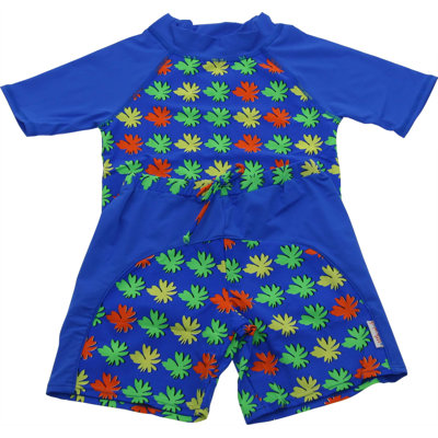 A Little Splash Two Piece Nylon / Spandex Rush Guard in Multi Colored Matisse Print
