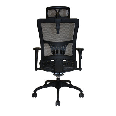Absolute Office Mesh Arm Chair with Adjustable Arm Pads
