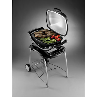 Weber Q 140 Electric Grill