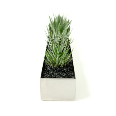 Gus* Modern Rectangular Fruit Trough Planter