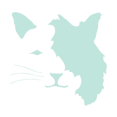 Avalisa Animal Face - Cat Stretched Wall Art