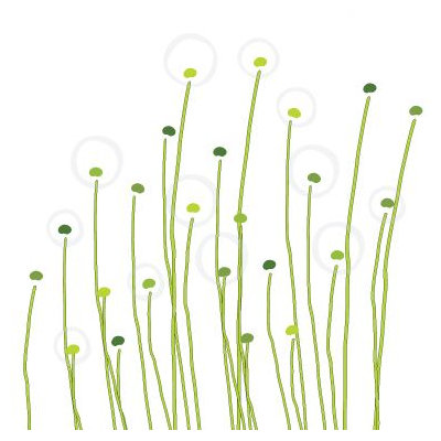 Avalisa Imagination - Dandelion Stretched Wall Art