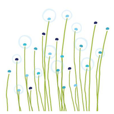 Avalisa Imagination - Dandelion Stretched Wall Art