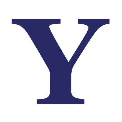 Avalisa Letter - Upper Case 'Y' Stretched Wall Art