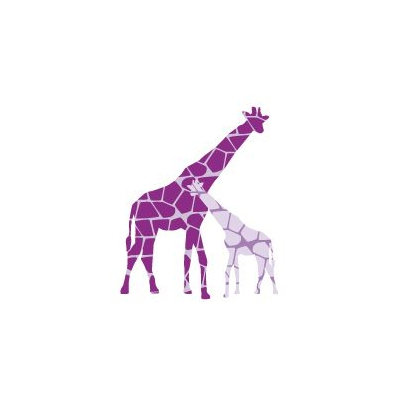 Avalisa Animal - Reticulated Giraffe Stretched Wall Art