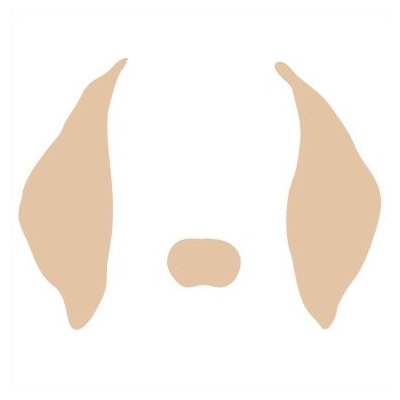 Avalisa Animal Face - Floppy Ears Stretched Wall Art