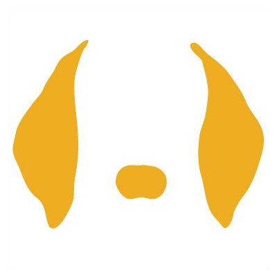 Avalisa Animal Face - Floppy Ears Stretched Wall Art