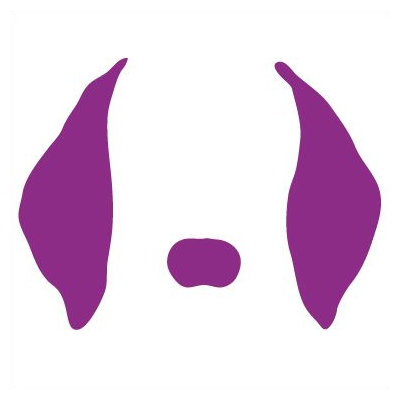 Avalisa Animal Face - Floppy Ears Stretched Wall Art