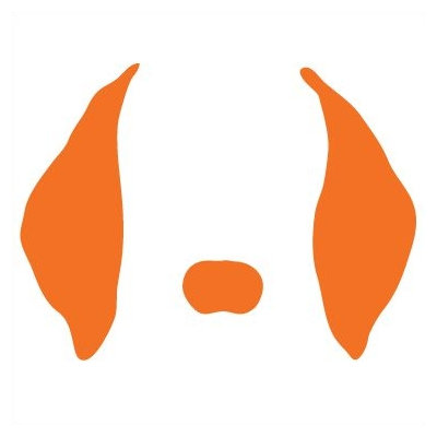 Avalisa Animal Face - Floppy Ears Stretched Wall Art