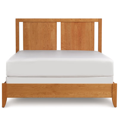 Dominion Storage Bed with Two Panel Headboard by Copeland Furniture -image