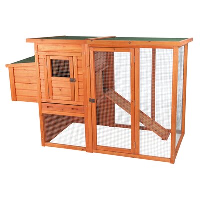 Trixie Trixie Chicken Coop with Outdoor Run &amp; Reviews | Wayfair