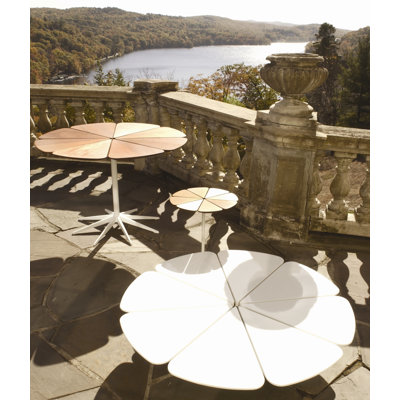 Richard Schultz Petal End Table with Top