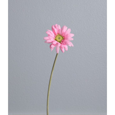 Heart to Heart Gerber Daisy Flower Wall Border