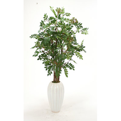 Distinctive Designs Mountain Ash Floor Plant in Vase