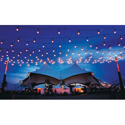 American Lighting LLC Medium Base String Light