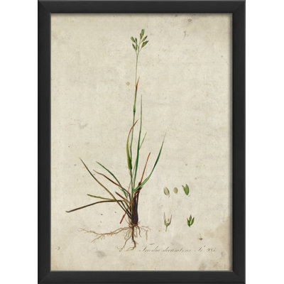 framed botanical artwork graphic factory wayfair