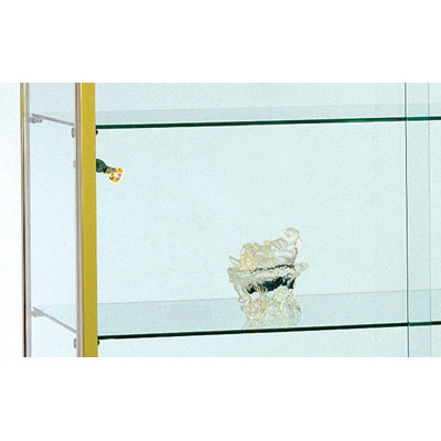 Tecno Display Spacious Glass Rectangular Wall Case