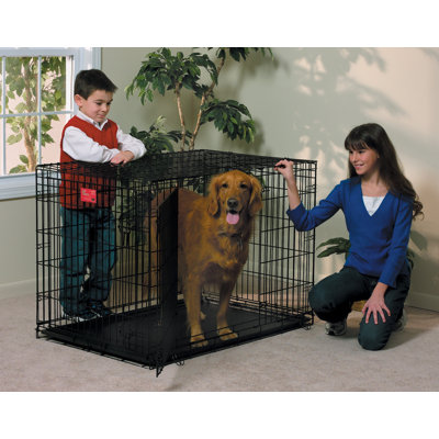 Midwest Homes For Pets Life Stages Fold & Carry Double-Door Dog Crate