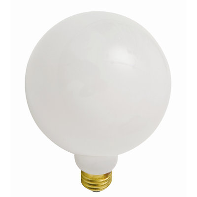 Nuevo Round Light Bulb
