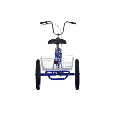 kent tricycle for adults