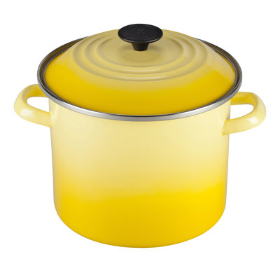 Le Creuset Enamel On Steel Stock Pot with Lid