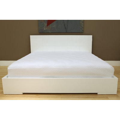 Anna Twin Platform Bed by Whiteline Imports -image