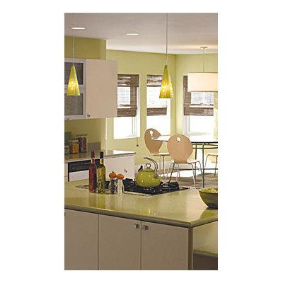 Tech Lighting Niko 1 Light Two-Circuit Monorail Pendant