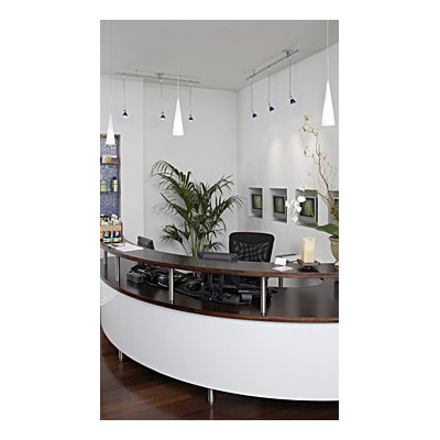 Tech Lighting Pinnacle 1 Light Two-Circuit Monorail Pendant
