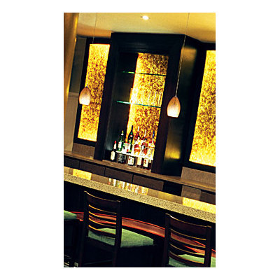 Tech Lighting Firebird 1 Light Two-Circuit Monorail Pendant