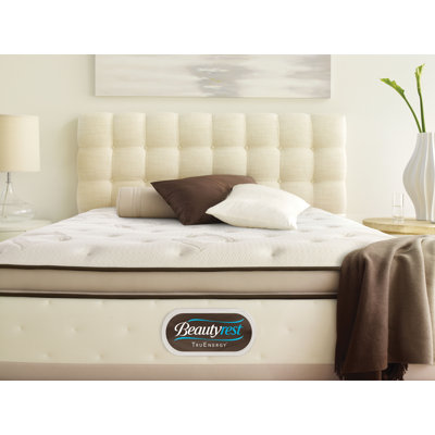 Simmons TruEnergy Ivy Plush Firm Memory Foam Top Mattress