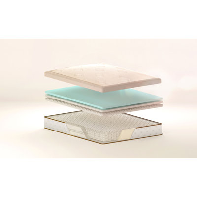 Simmons TruEnergy Ivy Plush Firm Memory Foam Top Mattress