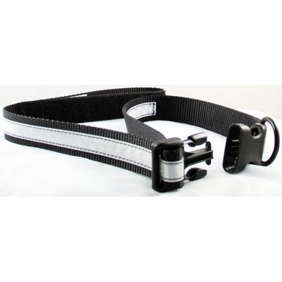 dog collar and leash in one