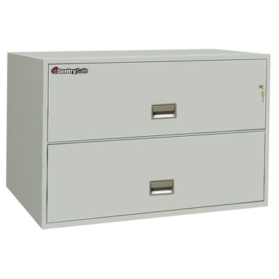 Sentry Safe 1 Hr Fireproof Key Lock 2 Drawer Letter File Safe