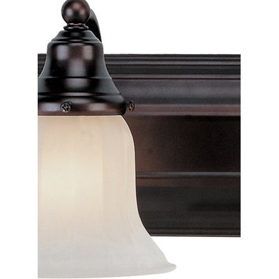 Dolan Designs Richland Vanity Light  in Royal Bronze