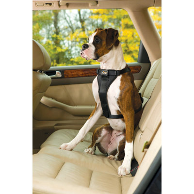 Kurgo Tru-Fit Smart Dog Harness in Black