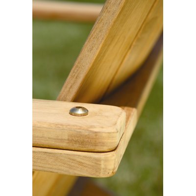 Three Birds Casual Adirondack Chair