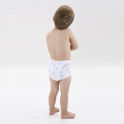 Mom Innovations Potty Training in One Day - The Complete System for Boys