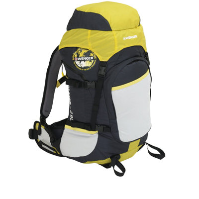 Wenger Swiss Gear Almer 20L Patagonia Backpack