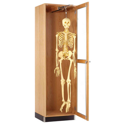 Diversified Woodcrafts Hanging Skeleton Cabinet
