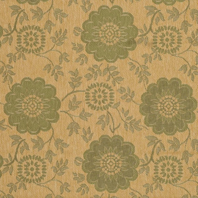 Safavieh Courtyard Natural/Green Rug