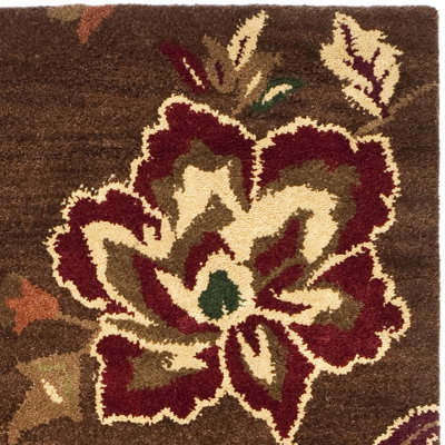 Safavieh Jardin Brown/Multi Rug